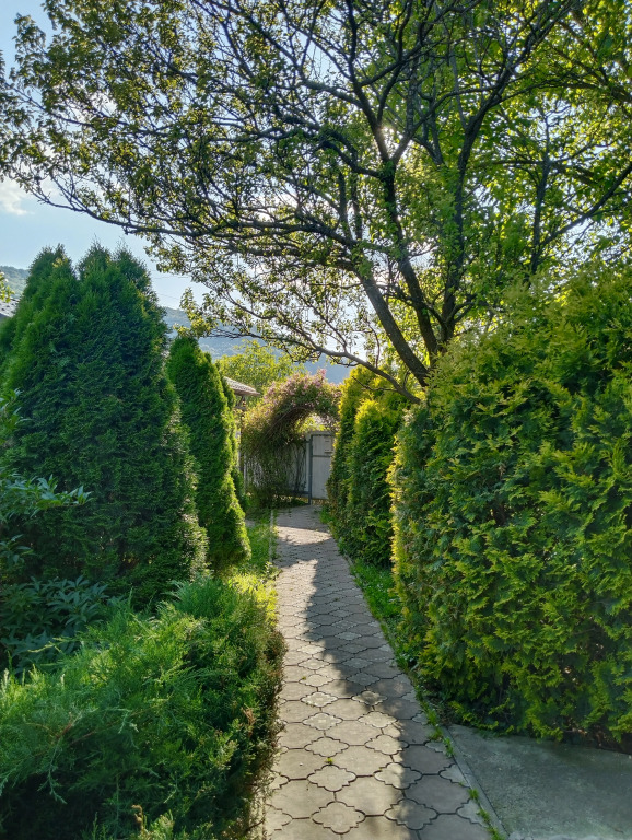 Фотография Коттеджа Частный дом Хвойный дворик