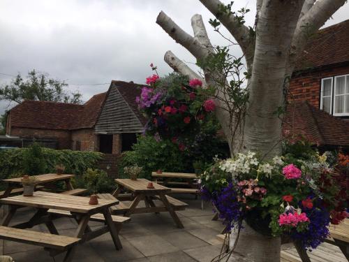 Фотография мини отеля Rose and Crown