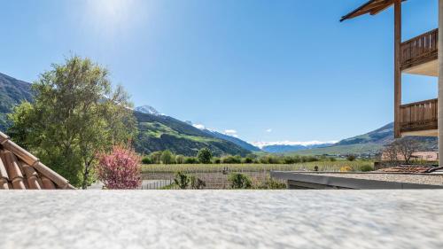 Фотография гостиницы Vinschgerhof