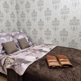 Фотография квартиры Квартира Романтичная на Московском проспекте