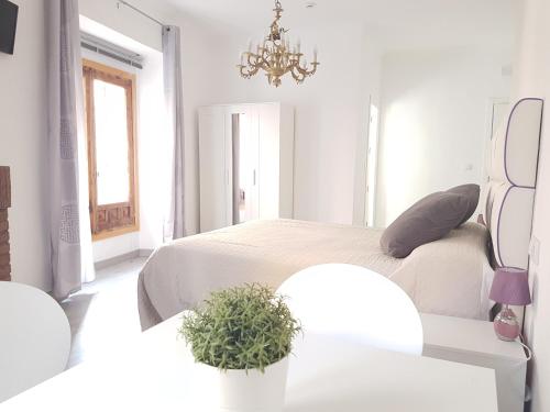 Фотография гостевого дома Casa Botes