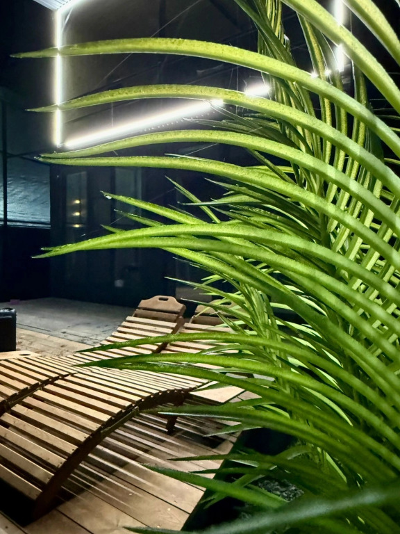 Фотография Коттеджа Частный дом Saniba_house