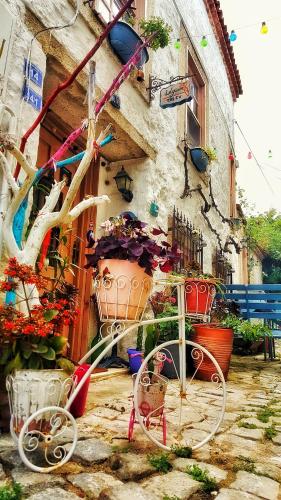 Фотографии мини отеля
Lilyum Alaçatı - Taş Ev