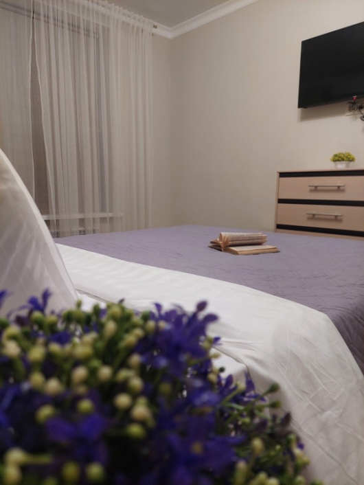 Фотографии квартиры
Апартаменты на Заводской 35