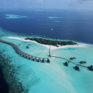 Фотография гостиницы COMO Cocoa Island