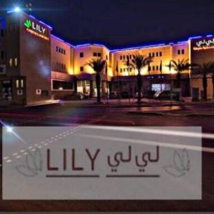Фотографии апарт отеля
Lily Hotel Suite Mubarraz