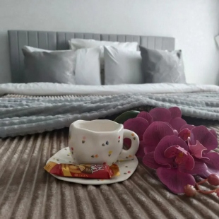 Фотография квартиры Квартира Серый кот ждет тебя в гости 2