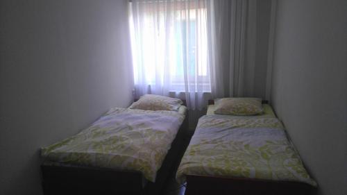 Фотография гостевого дома Haus Dajtki