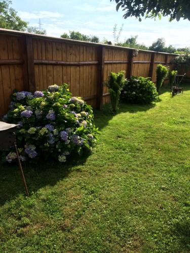 Фотография гостевого дома Pensiunea Bujor de Munte