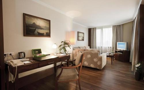 Фотография гостиницы Dedeman Istanbul