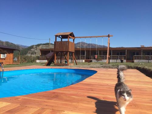 Фотографии базы отдыха
Медовуха