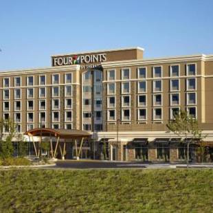 Фотографии гостиницы
Four Points by Sheraton Kelowna Airport