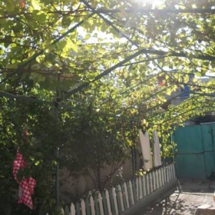 Фотография хостела Homestay On Gabashvili 43