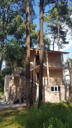 Фотография гостевого дома Philly