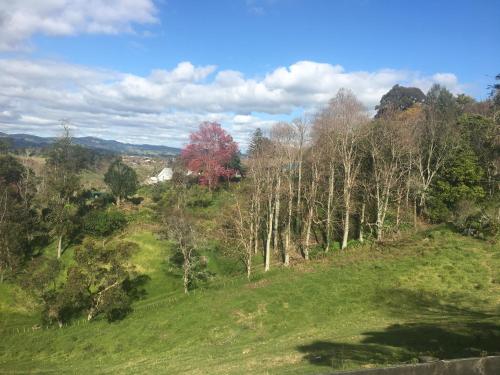 Фотография базы отдыха Thistle and Pine Cottage Farmstay