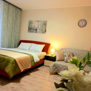 Фотография квартиры Апартаменты Винтаж Зелёный Город 4