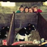 Фотография базы отдыха De Grote Linde