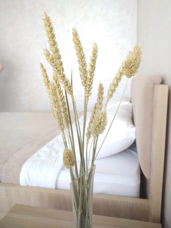 Фотография квартиры Апартаменты Четыре сезона