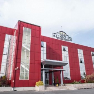 Фотография гостиницы Hotel Alinalex - Paradisul Acvatic