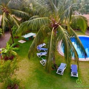 Фотографии хостела 
            Hooked Cabarete