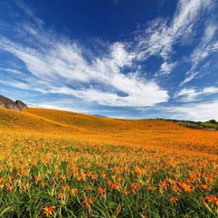 Фотографии мини отеля
Field House B&B