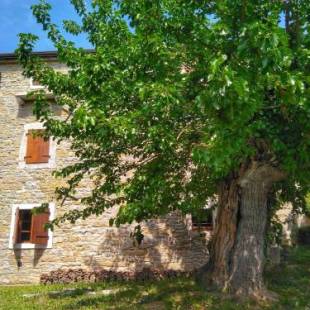 Фотографии мини отеля
B&B al Merlo Olivo