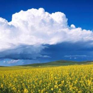 Фотографии мини отеля
Love Peachy House