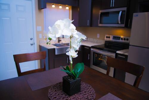 Фотография гостевого дома Casino Casita