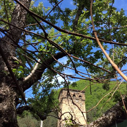 Фотографии гостевого дома
Guest House Chuta in Lagami