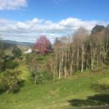 Фотография базы отдыха Thistle and Pine Cottage Farmstay