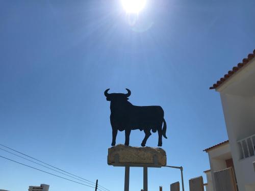 Фотография гостевого дома O Tourinho