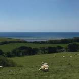 Фотография гостевого дома Clayhanger Lodge