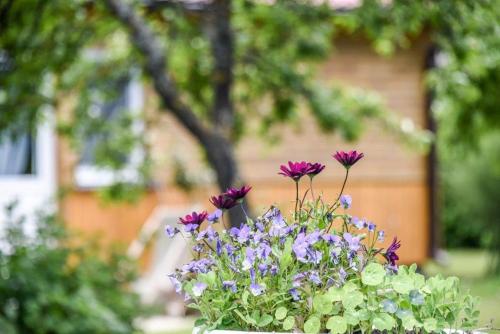 Фотография гостевого дома Kāpas