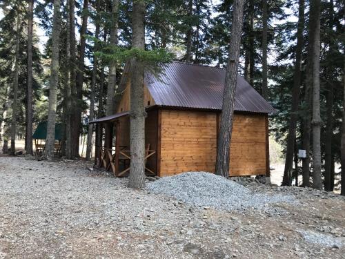 Фотография базы отдыха Хижина