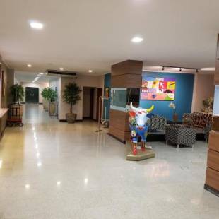 Фотографии гостиницы
Belém Soft Hotel