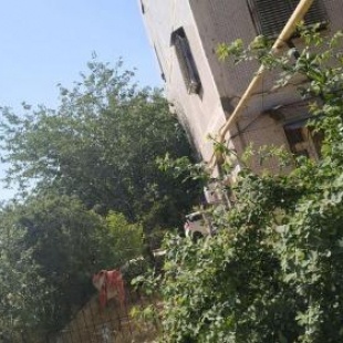 Фотография хостела Pride