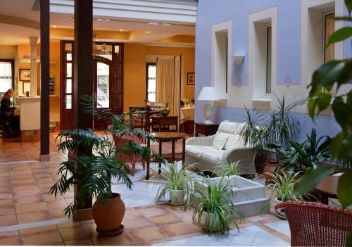 Фотография гостиницы Hotel Veracruz