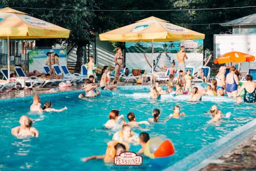 Фотография гостевого дома Pensiunea della nonna