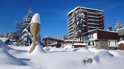 Фотографии гостиницы
Grand Hotel Murgavets