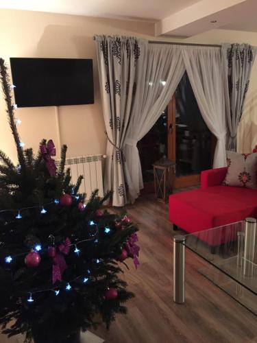 Фотография гостевого дома Zyngierka