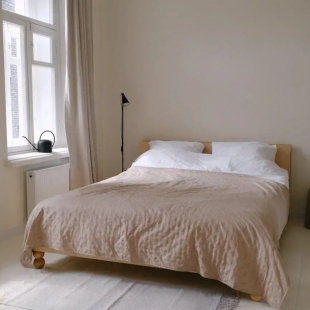 Фотография квартиры Квартира в доходном доме Кербера