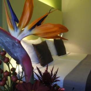 Фотографии гостиницы
50|50 Hotel Belmont