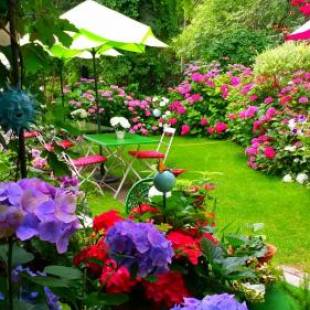 Фотографии гостиницы
Schifferkrug Hotel & Restaurant