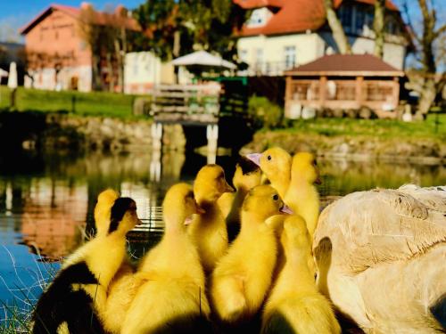 Фотография мини отеля Pałac Spichrz