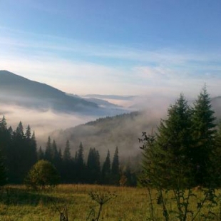 Фотография гостевого дома Усадьба у дороги
