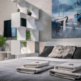 Фотография квартиры Апартаменты Морошка на Ленинском