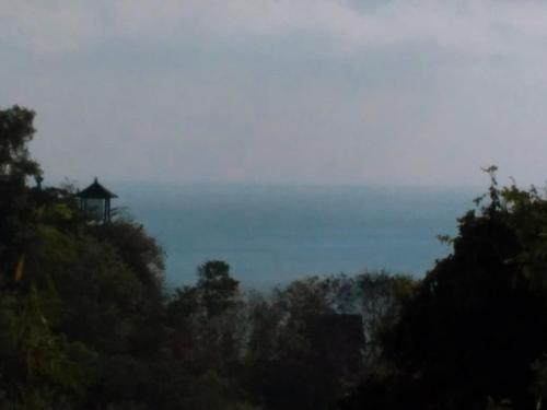 Фотография гостиницы The Manik Toya