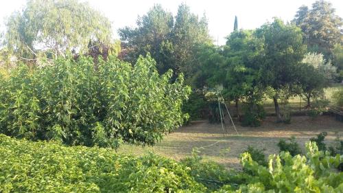 Фотография гостевого дома Mas de la Croix