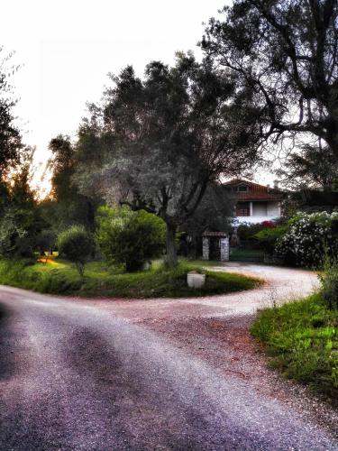 Фотография мини отеля MeraVilla