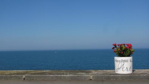 Фотография мини отеля Il Mulino di Amleto - Bed and Breakfast letterario